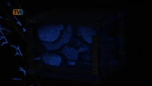 Jim Curioso: À Descoberta do Universo